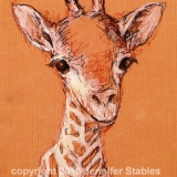 Hello Baby Giraffe!