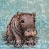 Little Hippo
