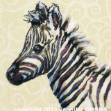 Zebra Close-Up
